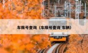 车限号查询（车限号查询 车辆） 