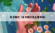 车子限行（车子限行怎么看号码） - 高通咨询
