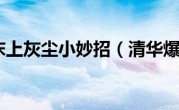 清洁床上灰尘小妙招（清华爆炸）