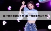 限行日开车如何处罚（限行日开车怎么处罚） 
