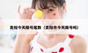 贵阳今天限号尾数（贵阳市今天限号吗）