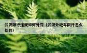 武汉限行违规如何处罚（武汉外地车限行怎么处罚） 