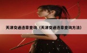 天津交通违章查询（天津交通违章查询方法） 