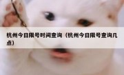 杭州今日限号时间查询（杭州今日限号查询几点） 