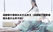 成都限行摄像头长什么样子（成都限行拍照摄像头是什么样子的） 