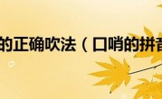 口哨的正确吹法（口哨的拼音）