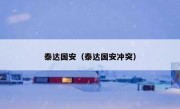 泰达国安（泰达国安冲突） 