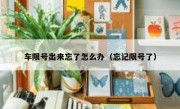 车限号出来忘了怎么办（忘记限号了） 