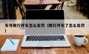 车号限行开车怎么处罚（限行开车了怎么处罚） 