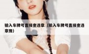 输入车牌号直接查违章（输入车牌号直接查违章豫） 