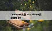 facebook流量（facebook流量转化率） 