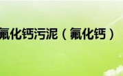 氟化钙污泥（氟化钙）