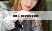 车牌号（车牌号车主查询） 