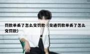 罚款单丢了怎么交罚款（交通罚款单丢了怎么交罚款） 