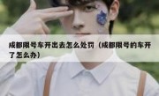 成都限号车开出去怎么处罚（成都限号的车开了怎么办） 