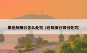 车违反限行怎么处罚（违反限行如何处罚）