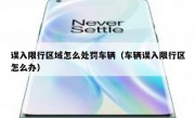 误入限行区域怎么处罚车辆（车辆误入限行区怎么办）