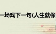 人生就像一场戏下一句(人生就像一场戏)