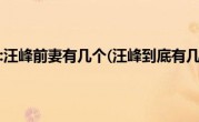 汪峰前妻是谁:汪峰前妻有几个(汪峰到底有几个老婆前妻曝出其渣)