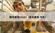 限号查询12113（限号查询 今天） - 高通咨询