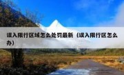 误入限行区域怎么处罚最新（误入限行区怎么办）