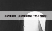 机动车限号（机动车限号出行怎么罚款呢） 