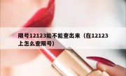 限号12123能不能查出来（在12123上怎么查限号）