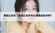 贵阳公交车（贵阳公交车可以用微信支付吗？）
