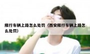限行车辆上路怎么处罚（西安限行车辆上路怎么处罚） 