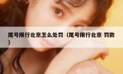 尾号限行北京怎么处罚（尾号限行北京 罚款）