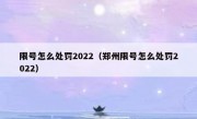 限号怎么处罚2022（郑州限号怎么处罚2022）