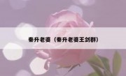 秦升老婆（秦升老婆王剑群） 