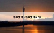 违章查询（违章查询入口） 