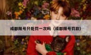 成都限号只处罚一次吗（成都限号罚款） 