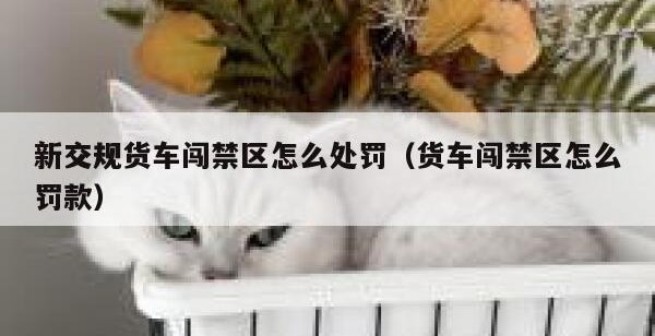 新交规货车闯禁区怎么处罚（货车闯禁区怎么罚款）