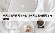 今天忘记车限号了咋办（今天忘记车限号了咋办啊） 