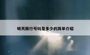 明天限行号码是多少的简单介绍 - 高通咨询