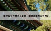 车子限号开车怎么处罚（限号开车怎么处罚） 