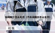 车闯限行怎么处罚（汽车闯限行怎么处罚）