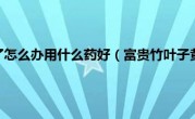 富贵竹叶子黄了怎么办用什么药好（富贵竹叶子黄了怎么办）