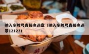 输入车牌号直接查违章（输入车牌号直接查违章12123） 