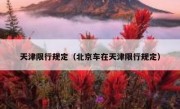 天津限行规定（北京车在天津限行规定） 