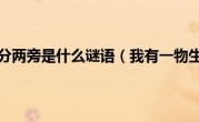 我有一物分两旁是什么谜语（我有一物生得巧）