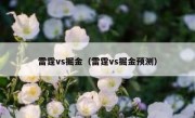 雷霆vs掘金（雷霆vs掘金预测） 