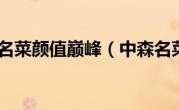 中森名菜颜值巅峰（中森名菜）