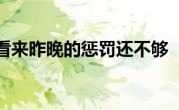 看来昨晚的惩罚还不够