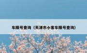 车限号查询（天津市小客车限号查询） 