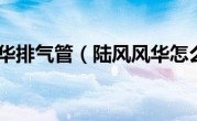 陆风风华排气管（陆风风华怎么样）