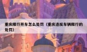重庆限行开车怎么处罚（重庆违反车辆限行的处罚）