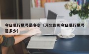 今日限行尾号是多少（河北邯郸今日限行尾号是多少） 